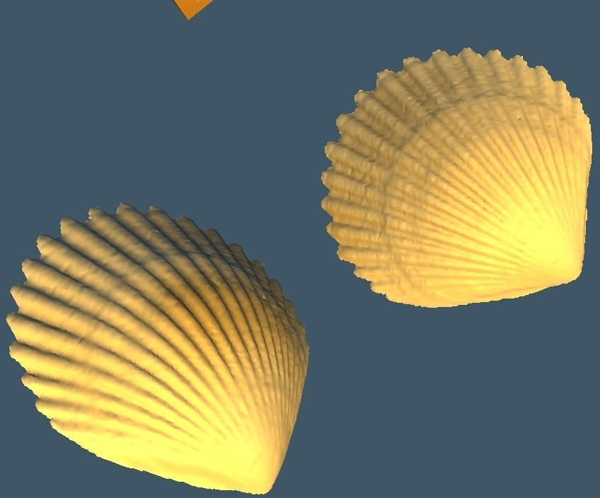 Shell