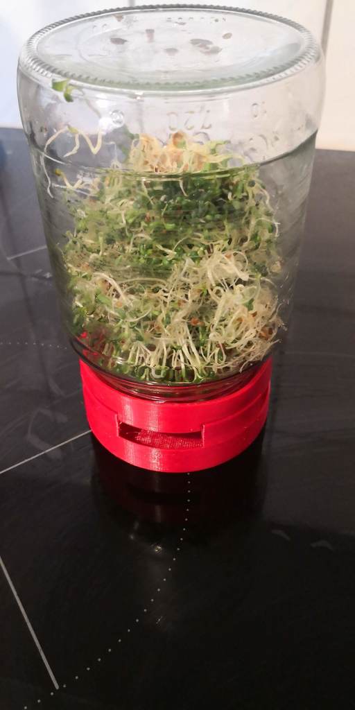 Twist Off glass sprouter for microgreens