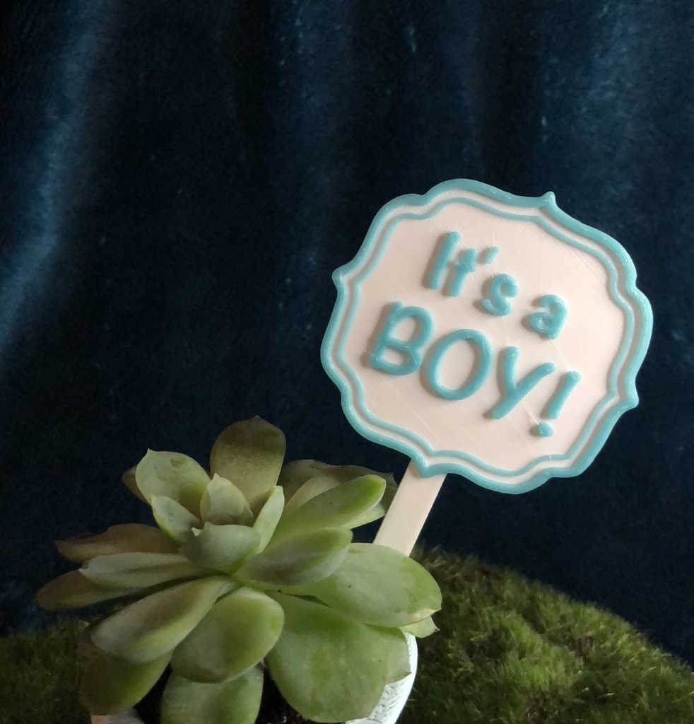 It's a Boy! It's a Girl SIGN