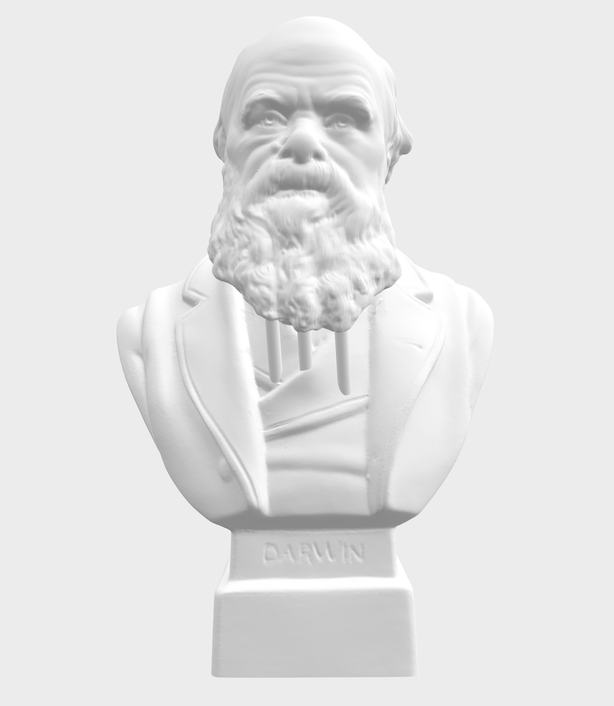 Charles Darwin Bust, c. 1899 (Supports Included) - Remix