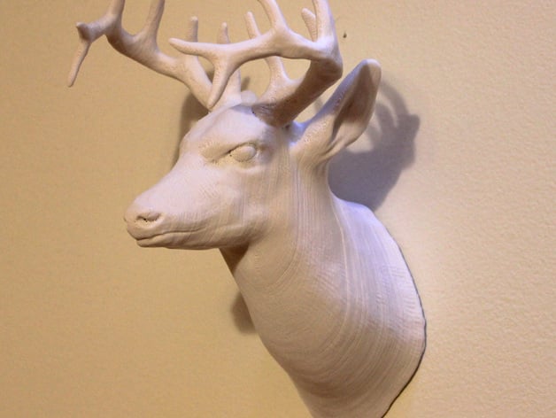 Deer Head Detailed
