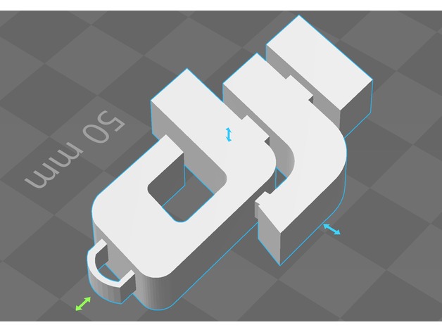 DJI Logo keychain