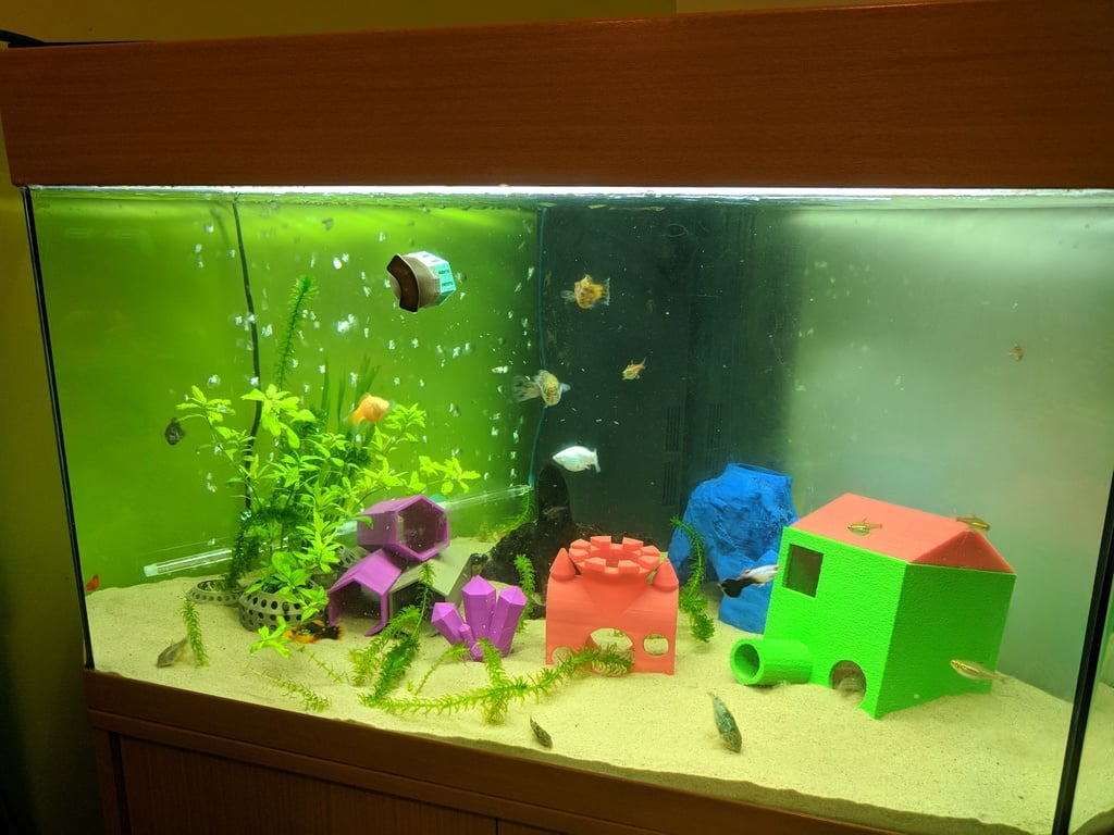 Magnetic Fish Feeder for live and frozen cubes