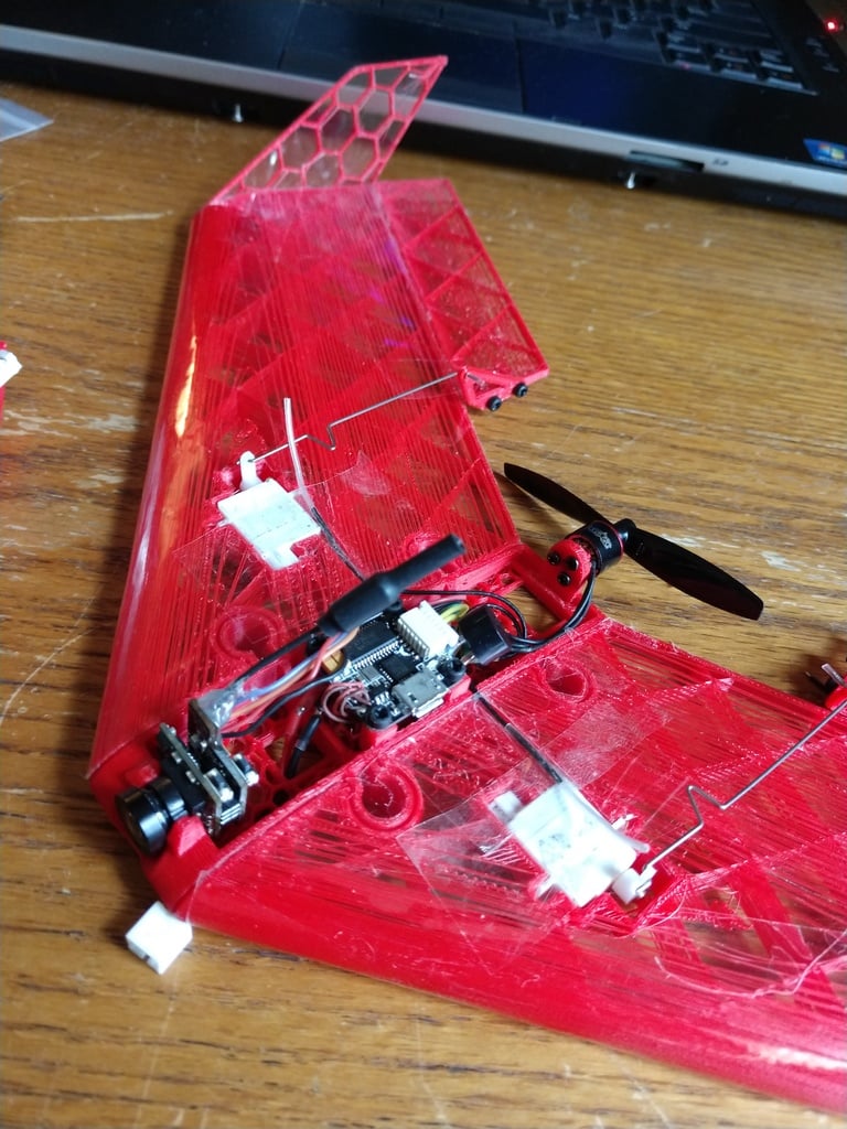300mm Micro brushless 3d printed wing