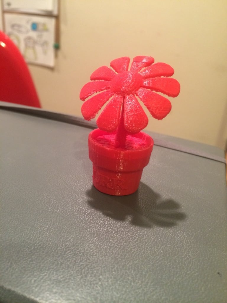 Flower in a Pot