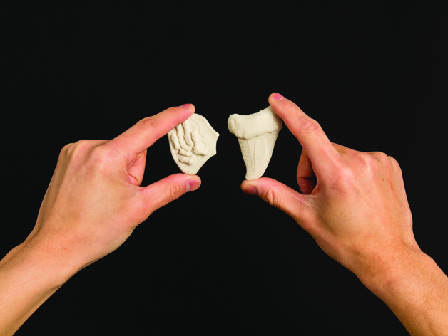 Project: Making Fossils with Sculptris