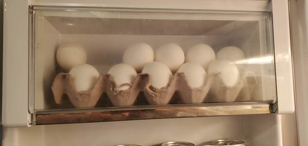 Modeler Egg storage for Fridge
