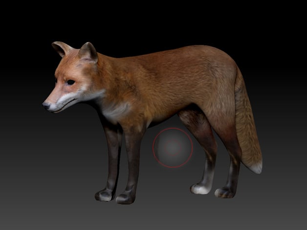 Foxy the Fox