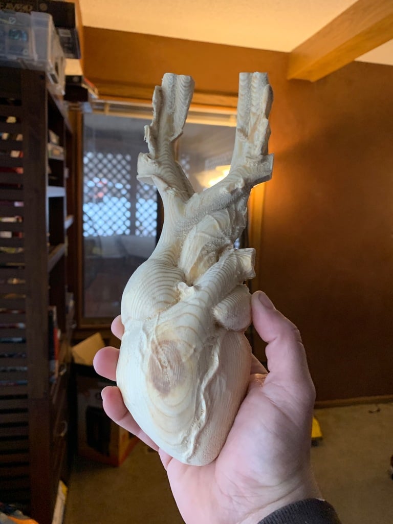 Anatomical Heart CNC Flat Back