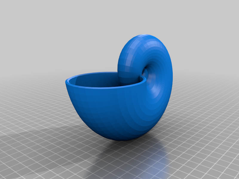 Nautilus Shell