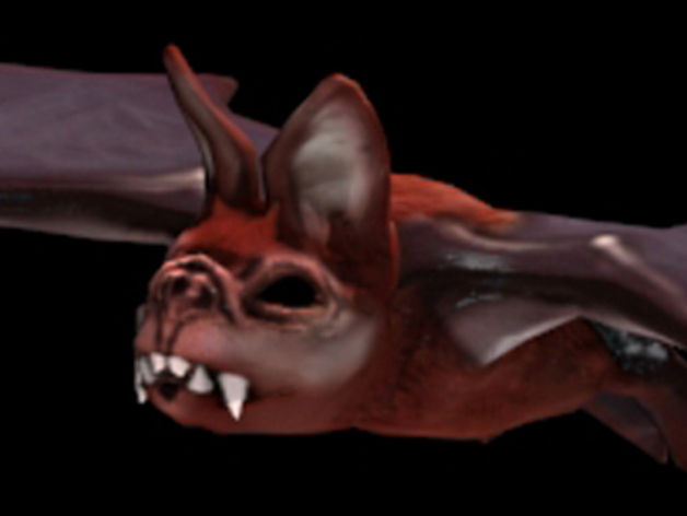 Zbrush Bat