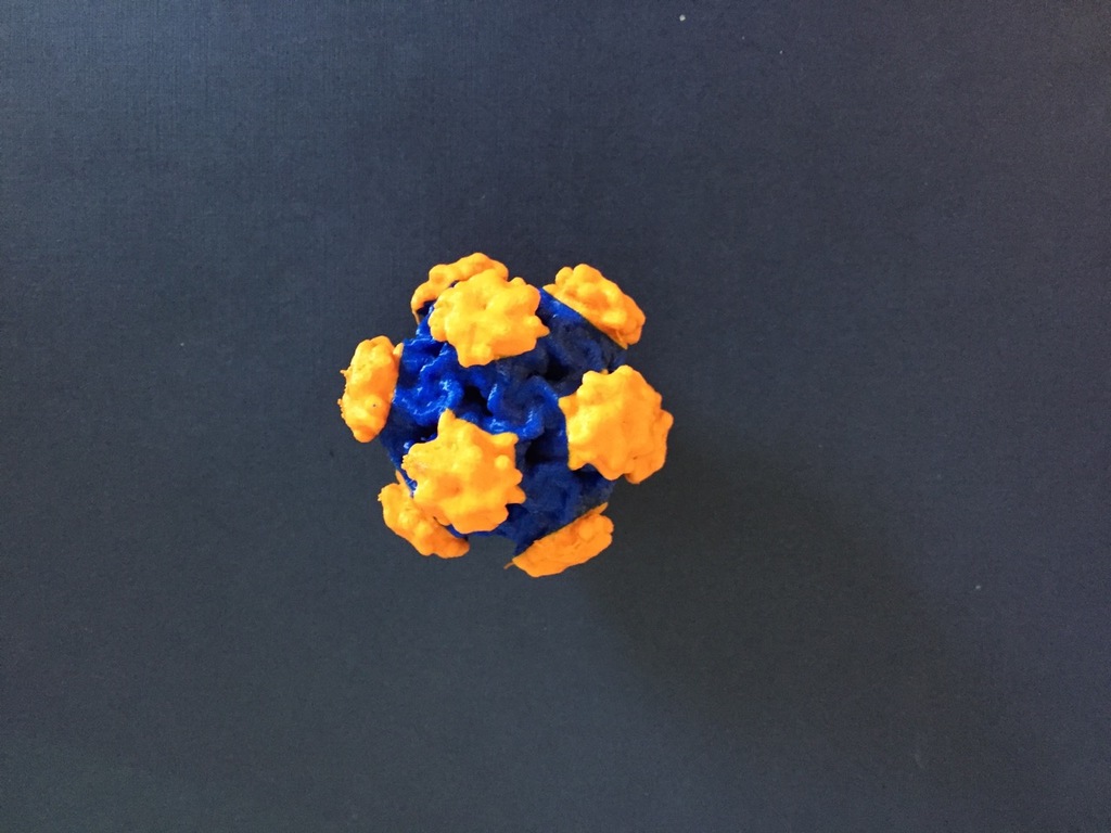 Dual Color Virus Structure (HPV)