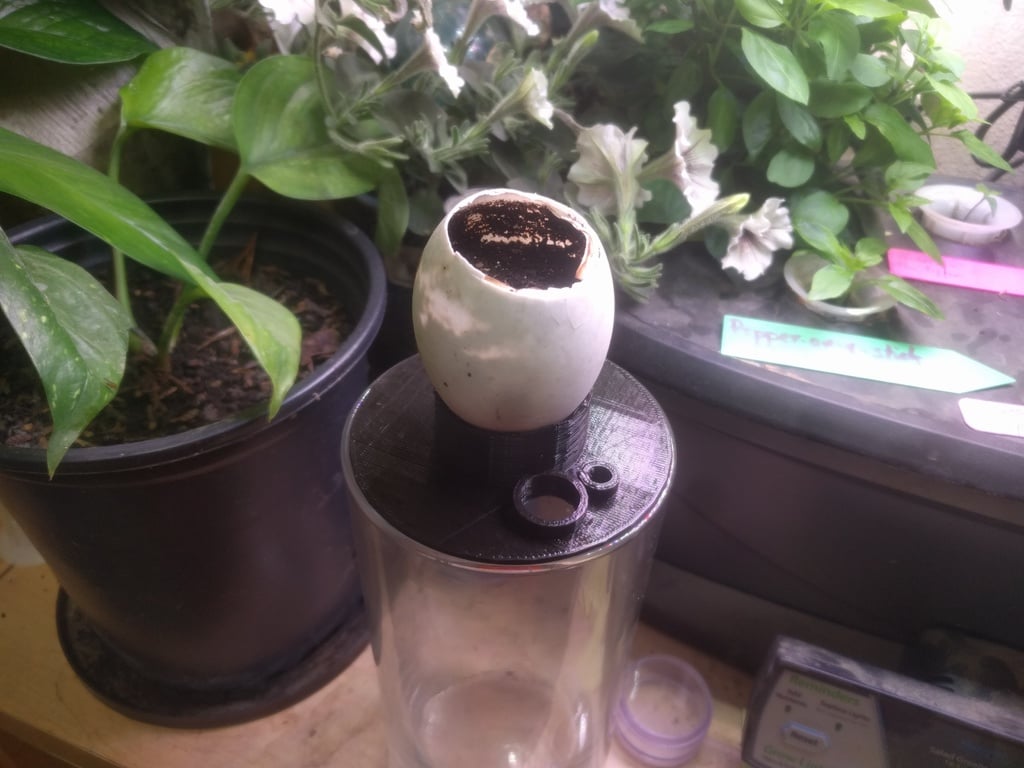 Aquaponics vase lid using an eggshell