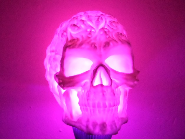 Spook Skull 3D Scan (Hollow)
