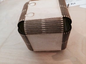 Living Hinge Boxes (Two boxes)