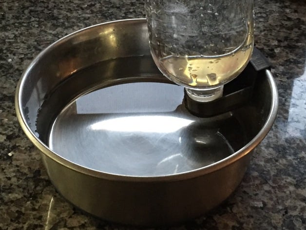 Water bowl feeder