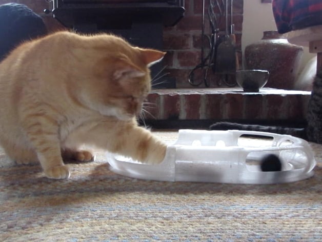 Cat Toy Race Track