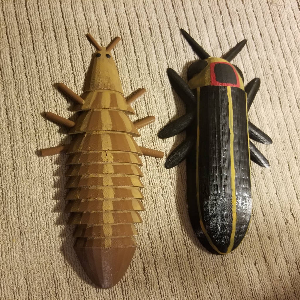 Firefly Beetle and Larva