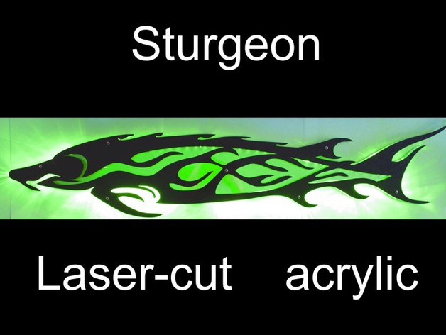 Sturgeon in acrylic, laser cut, LED-lighting