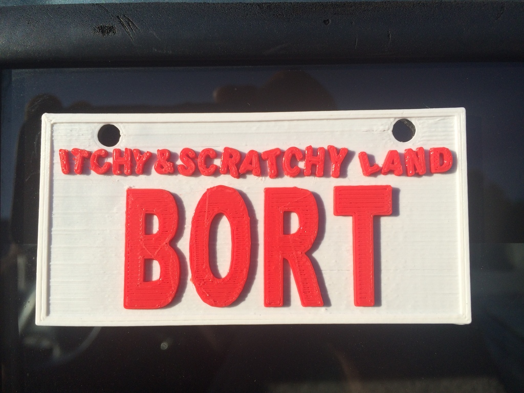 Bort License Plate (multi-colored)