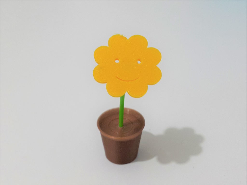 A flower in the pot