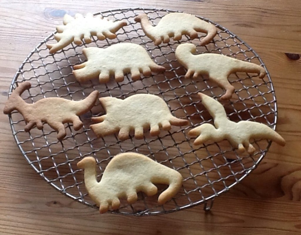 Dino cookie cutters