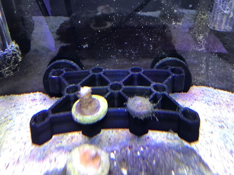 Coral Frag Rack