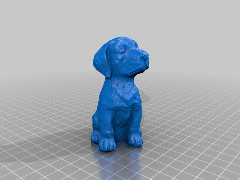 Sitting Dog - 3D Scan