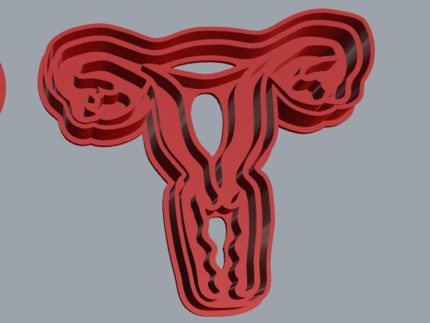 Female Reproductive System Cookie Cutter