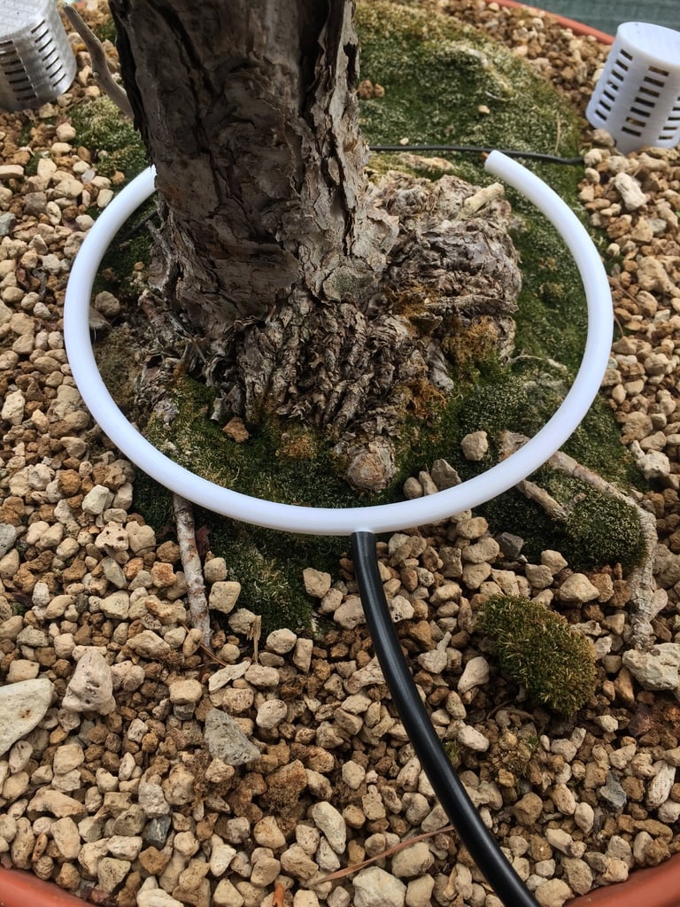 Sprinkler rings for bonsai pots