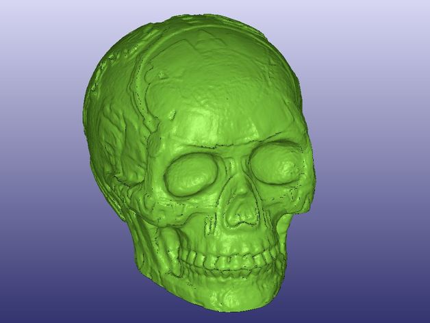 Mayan Skull 3D Scan (Hollow)
