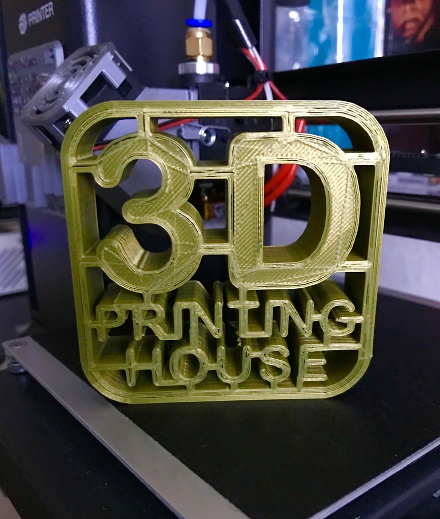 3D Printing House Logo