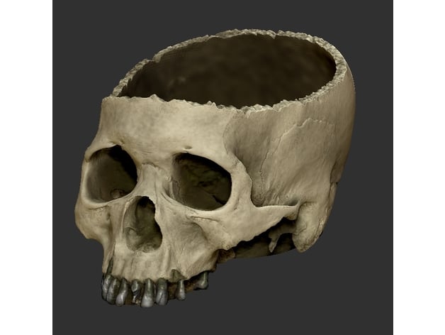 Halloween Skull Bowl