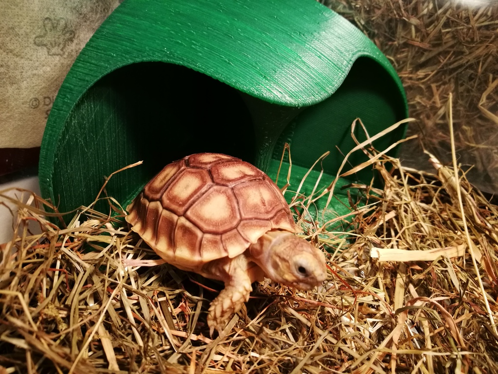Tortoise Shelter (with pole)