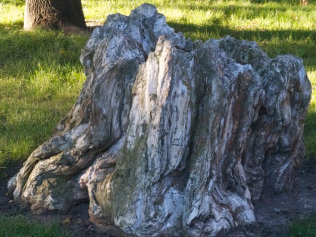 A Petrified Tree Stump