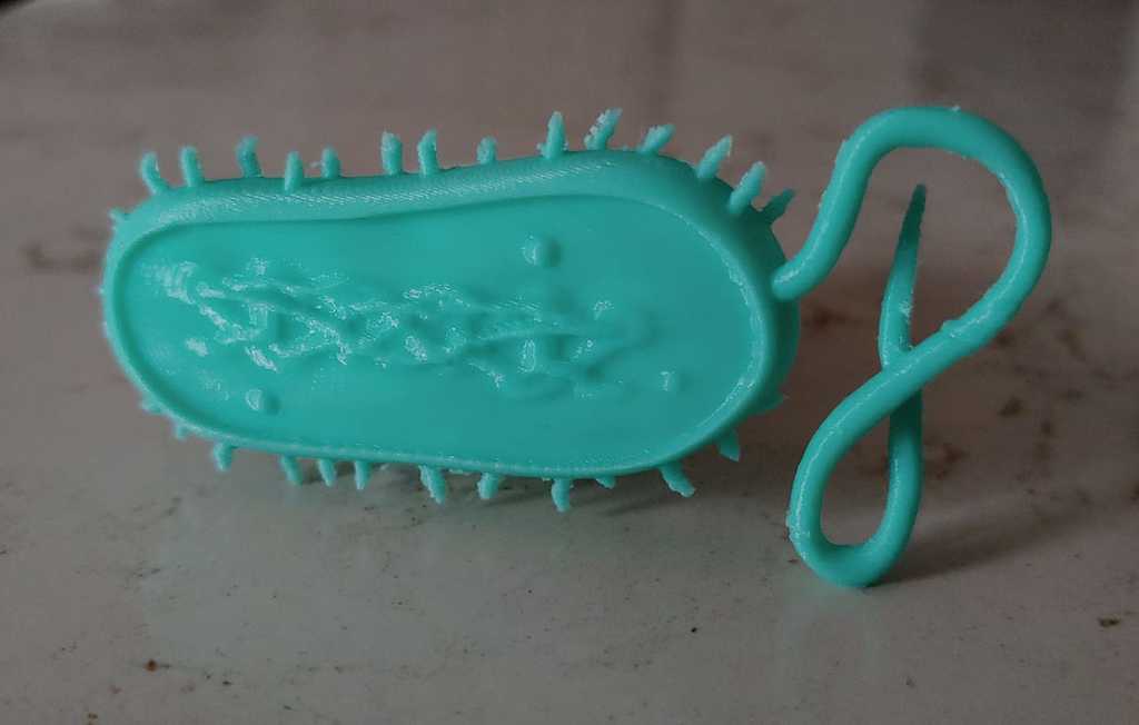 Bacterial Cell Model