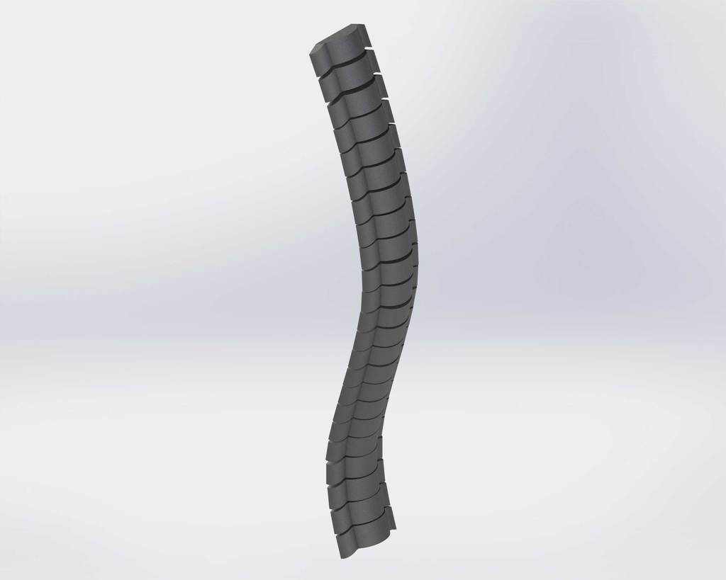 Spine Guard (Concept Model)