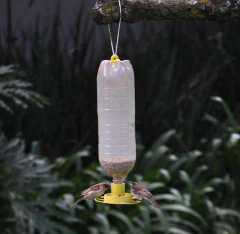 Bird Feeder (with soda bottle thread)