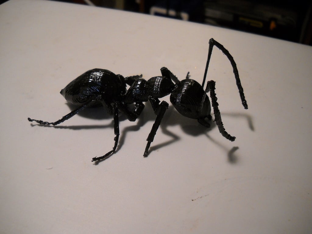 big ass ant