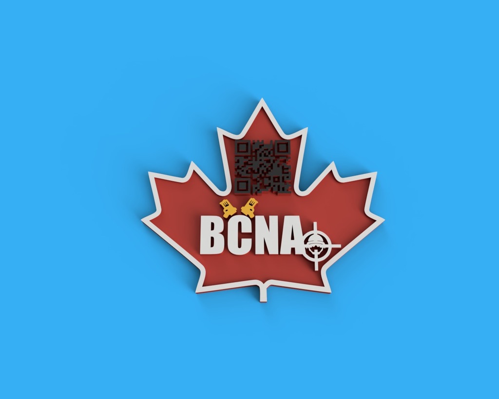 BCNA patch for 3D printing