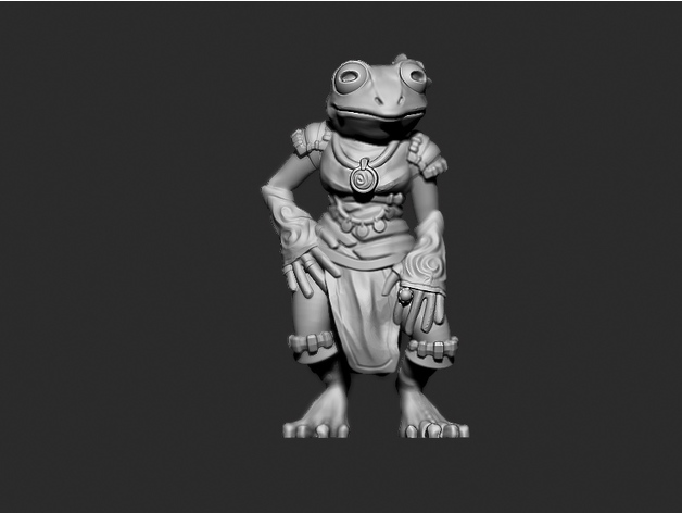 Image of Female Grung - D&D Tabletop Miniature