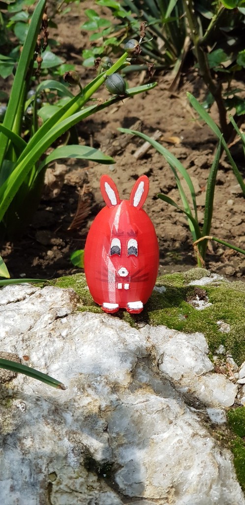 Rabbit Egg 2019