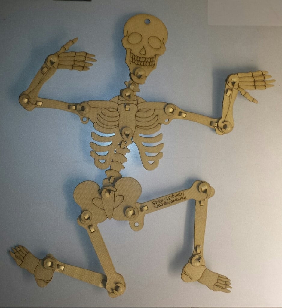 Lasercut articulated Skeleton