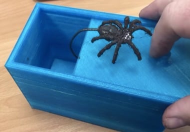 Spider Scare Box