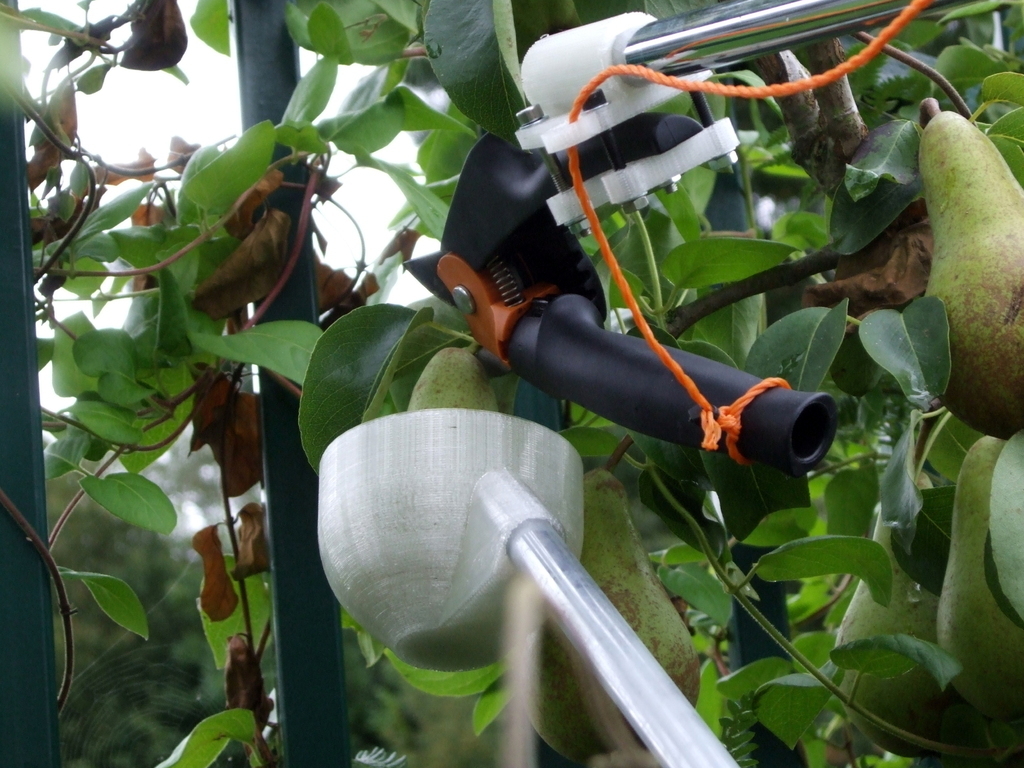 Fruit picker
