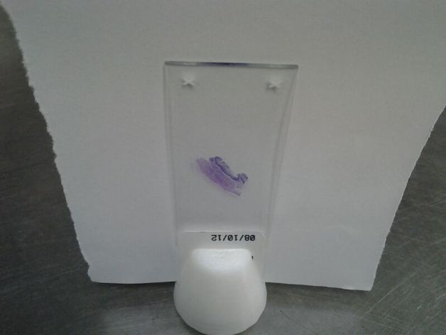 Glass Microscope Slide Stand