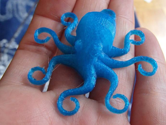 Charming Octopus