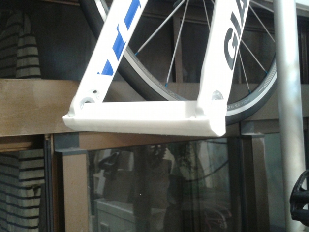Fork protector for Giant TCR SL