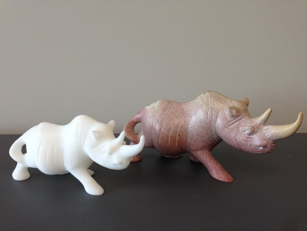 Rhino 3D Scan