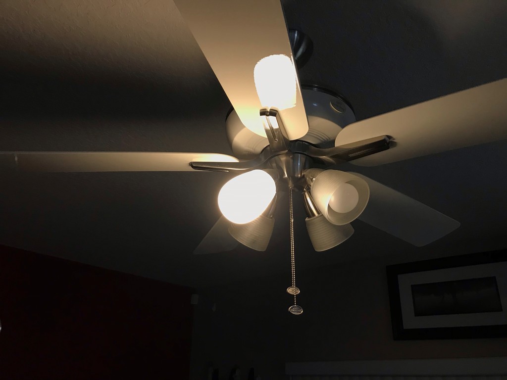 Ceiling fan enclosed light diffuser/cover